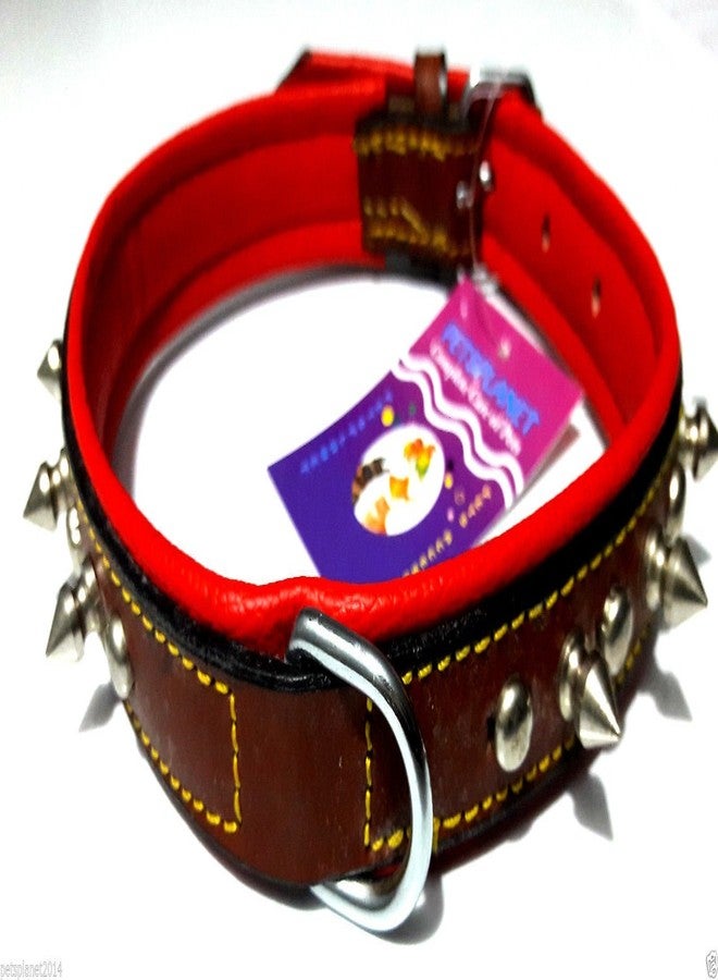 Ocean Wave Petsplanet PU Dog Collar with Soft Red Pad - Small & Medium Size Dogs 1" - Image 1